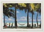 ABTA5037<br>Fun in the Sun