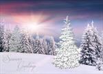 ABTAA6115<br>Nature's Beauty